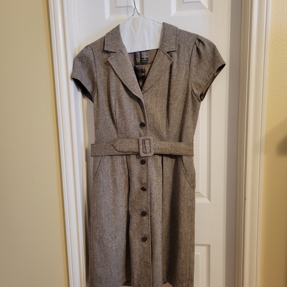 Brown And Metallic Copper Belted Women's Dress